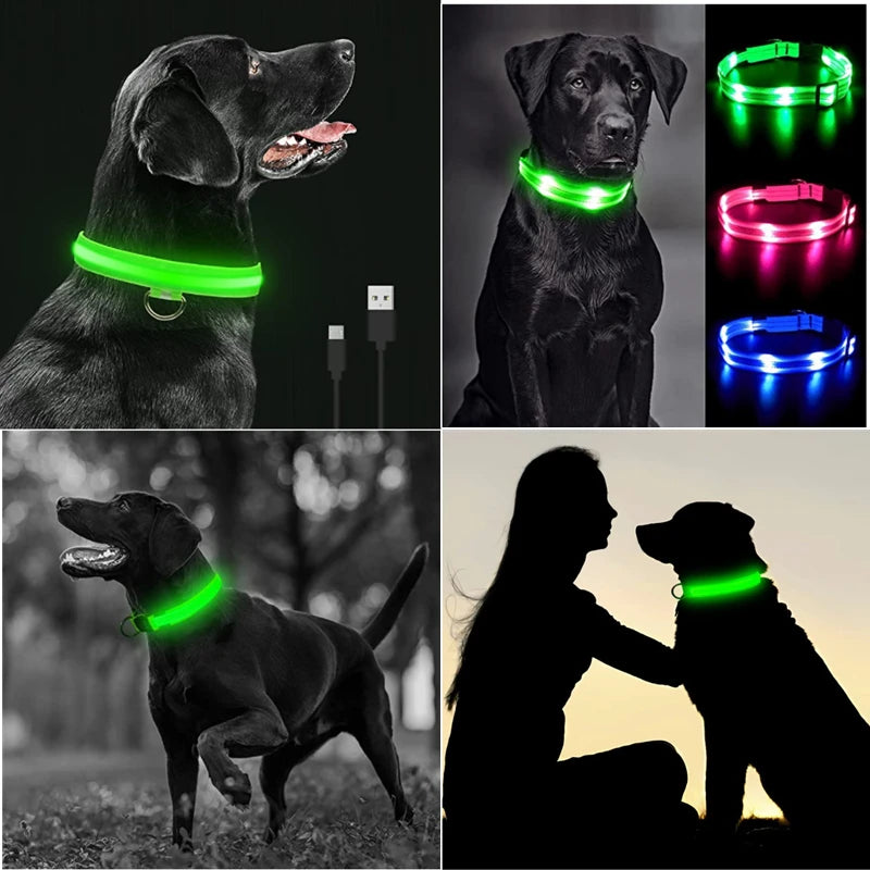 USB Rechargeable Glowing Pet Collar (With Pendant LED Light)