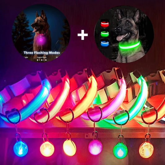 USB Rechargeable Glowing Pet Collar (With Pendant LED Light)